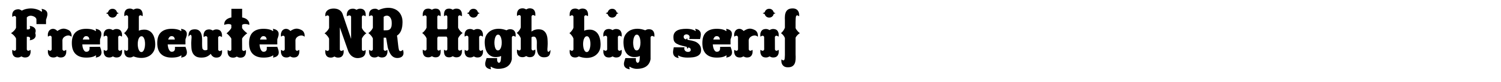 Freibeuter NR High big serif